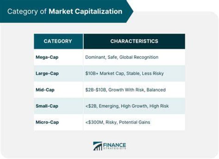 What is domestic market capitalization?
