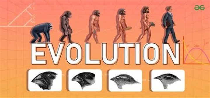 What is evolution Science Direct?