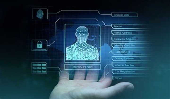 What is identity theft in cyber world?
