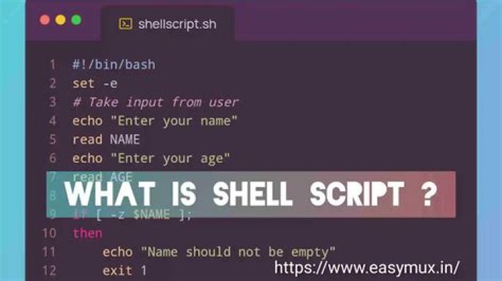 What is if Z in shell script?