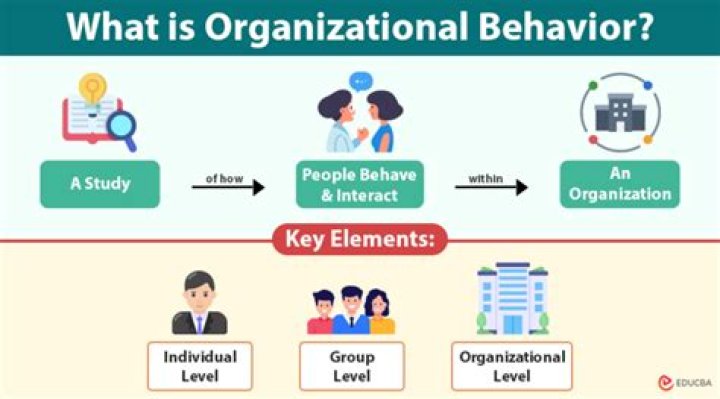 What is individual organizational behavior?