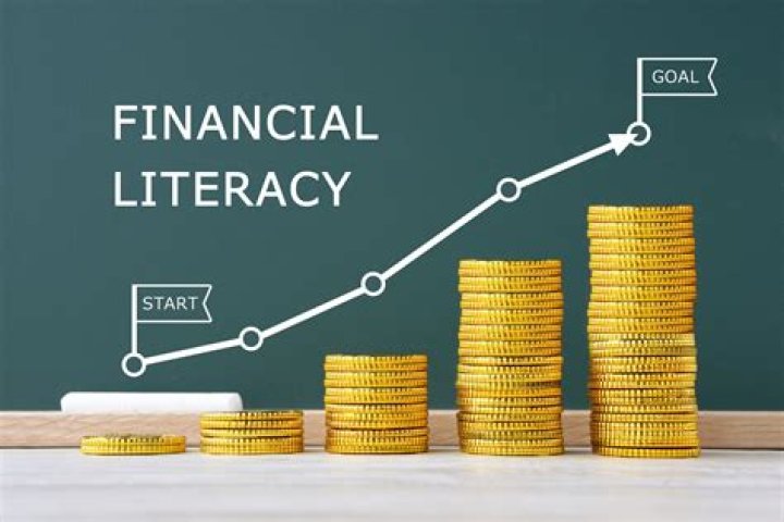 What is information literacy college course?