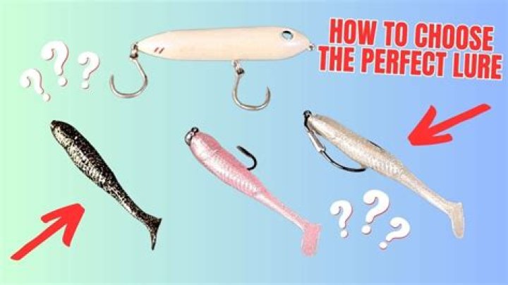 What is lure a synonym?