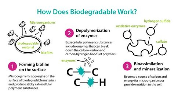 What is meant by biodegradable answer?