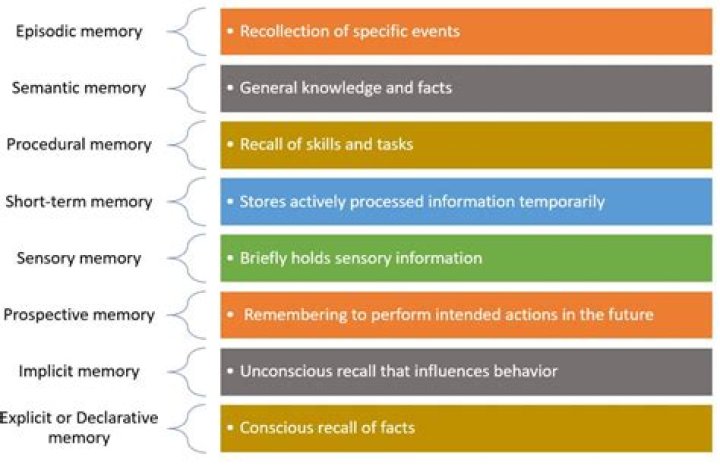 What is memory capacity in psychology?