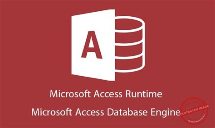 What is Microsoft Access Runtime 2007?
