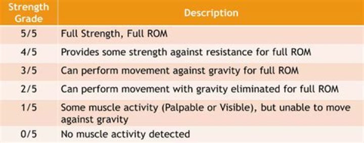 What is MMT score?
