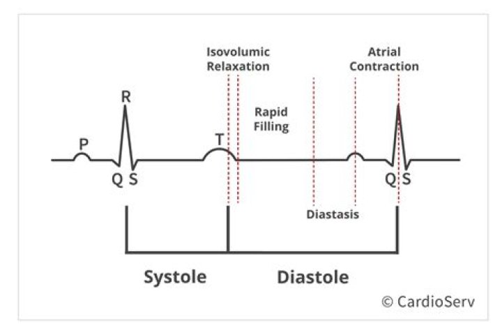 What is normal diastolic volume?