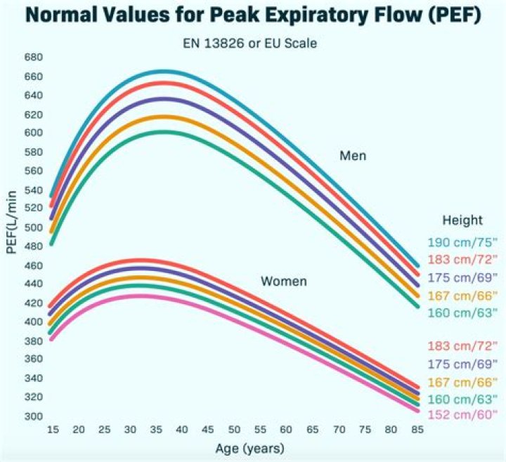 What is normal peak flow?