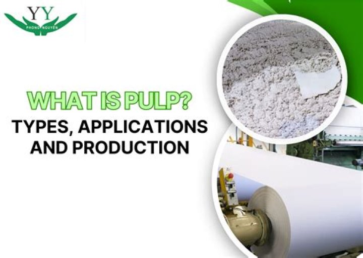 What is paper and pulp technology?
