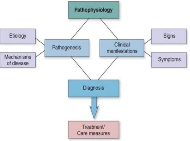What is pathophysiology example?