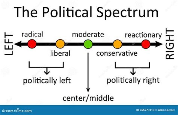 What is political logrolling?