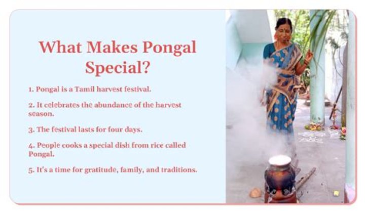 What is Pongal kolam?
