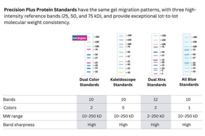 What is Precision Plus protein unstained standard?