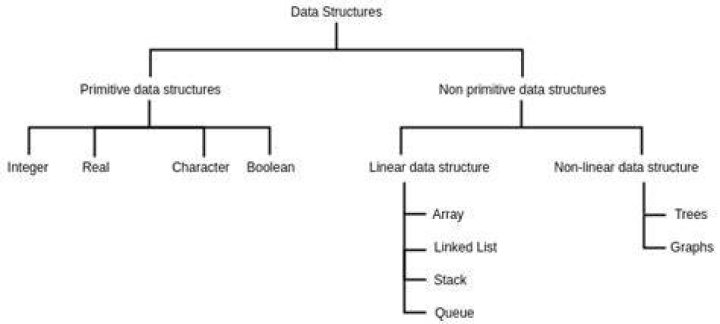 What is primitive data structure?