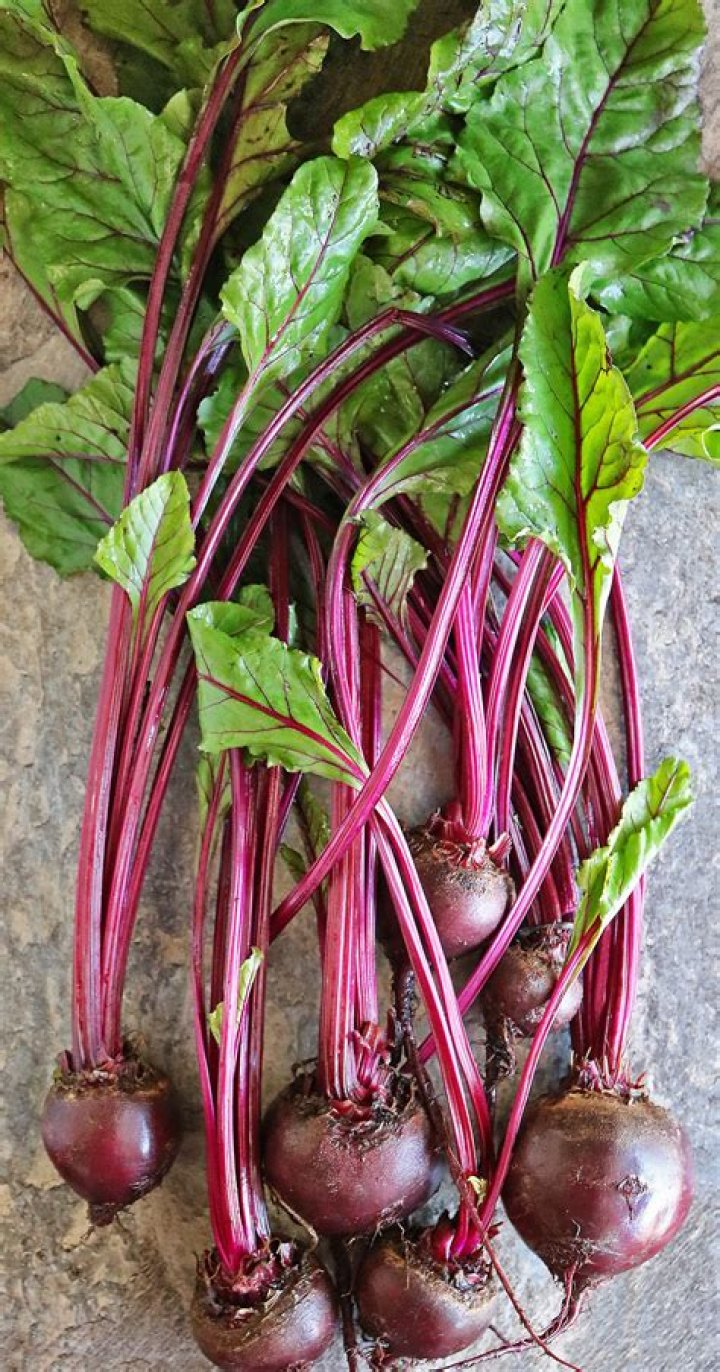 What is red beet used for?
