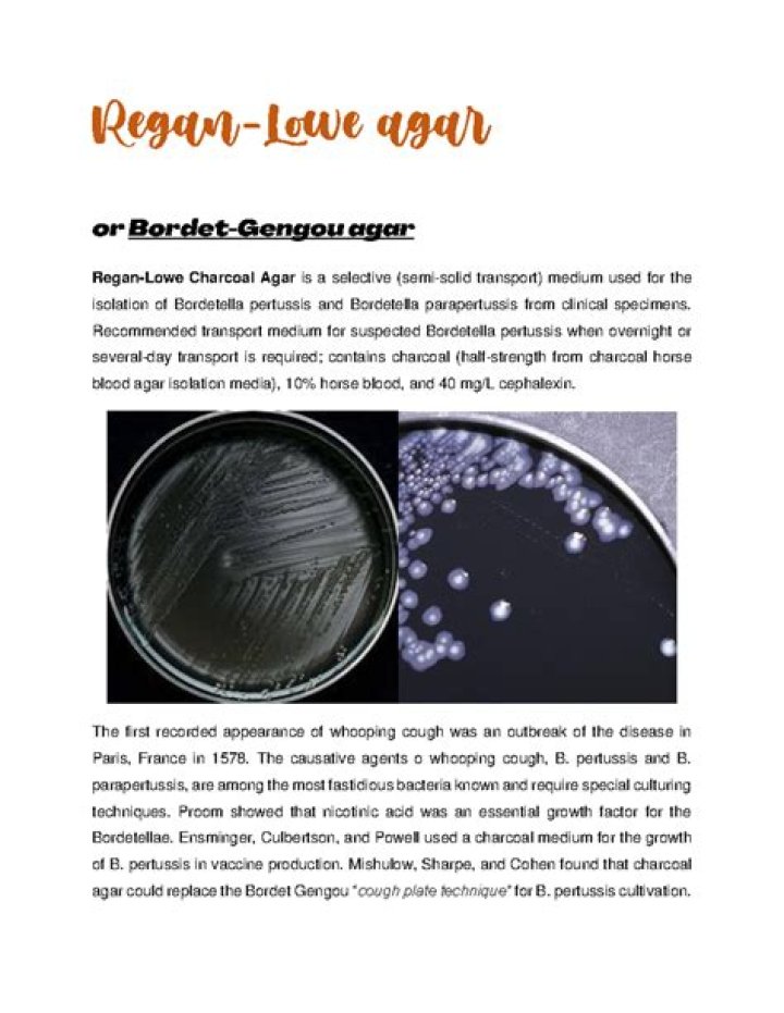What is Regan-Lowe agar selective for?
