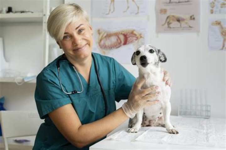 What is SDMA (SDMA)?