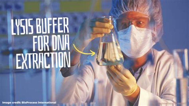 What is SDS in lysis buffer?