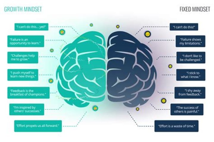 What is software mindset?