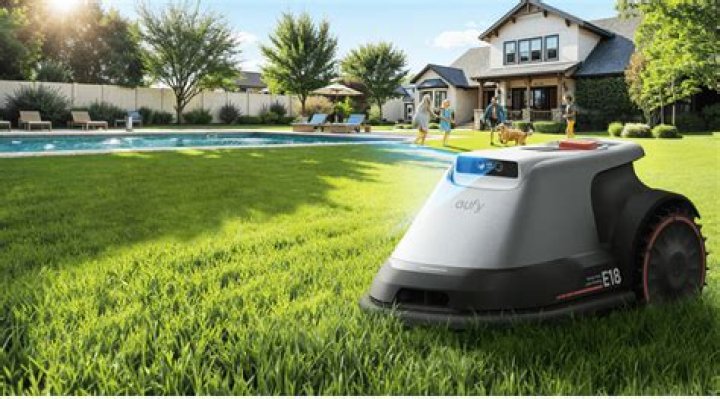 What is Solarizing a lawn?