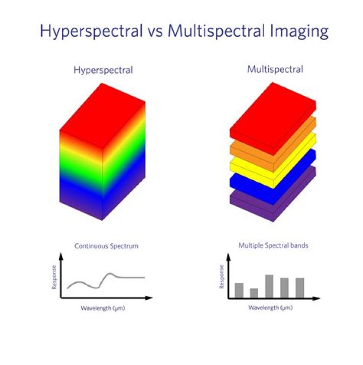 What is spectral analysis used to determine?