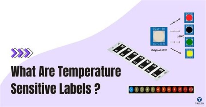 What is temperature sensitive allele?