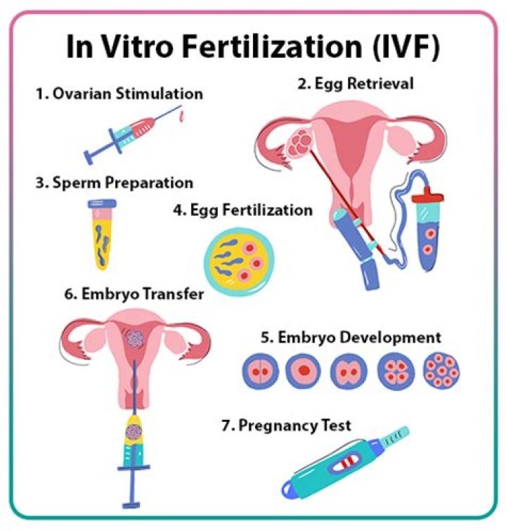 What is test-tube fertilization?