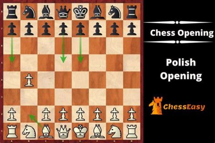 What is the Benko opening in chess?