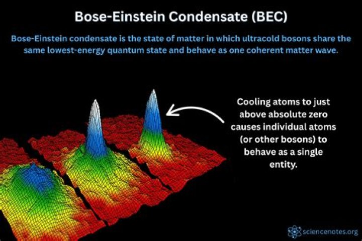 What is the best description for the Bose Einstein condensate?