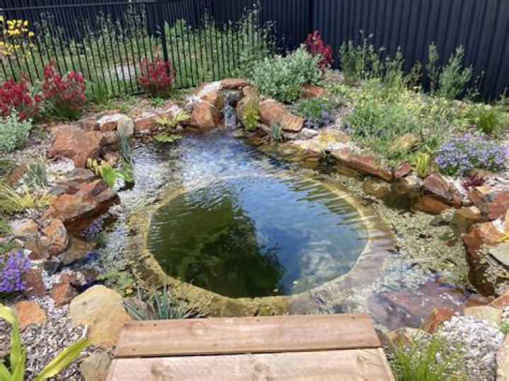 What is the best pond pressure filter?