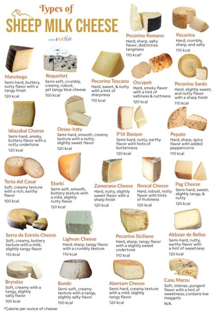 What is the best sheep cheese?
