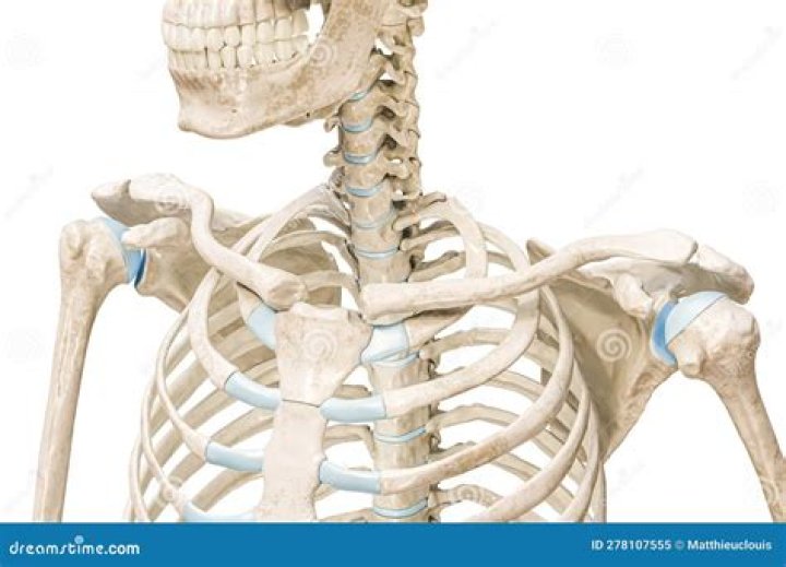 What is the collar bone piercing called?