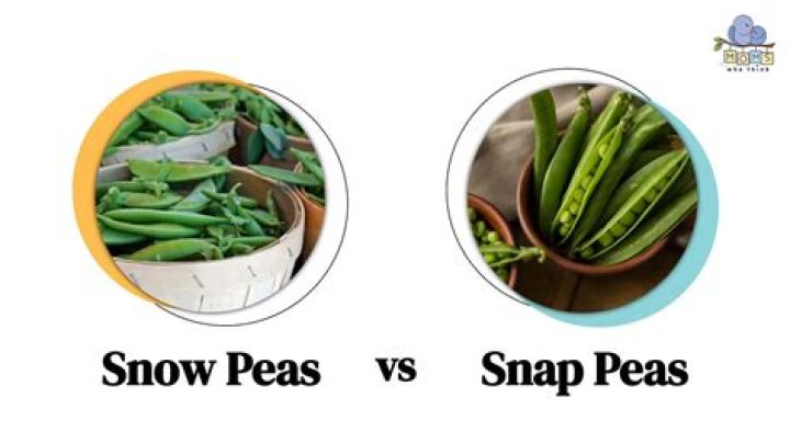 What is the difference between a snow pea and a pea?