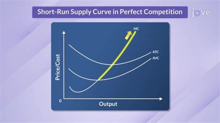What is the difference between long run and short run perfect competition?