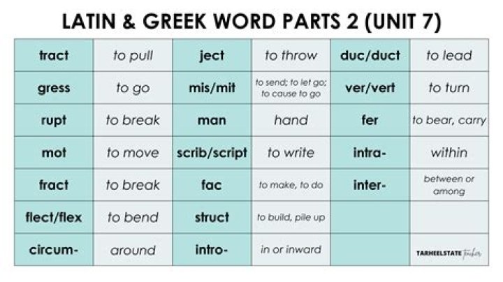 What is the Latin root word for envy?