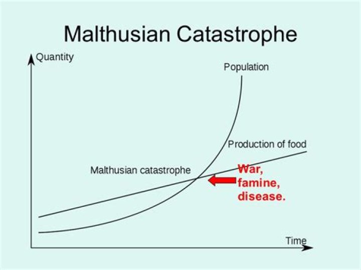 What is the Malthusian theory?