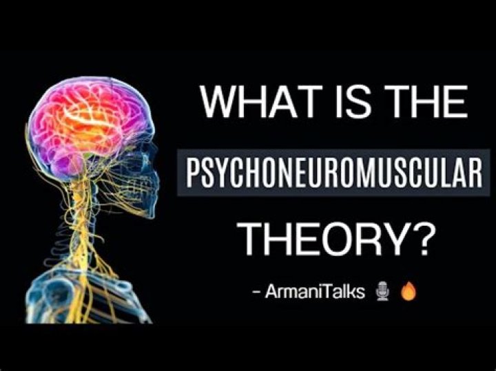 What is the Psychoneuromuscular theory?