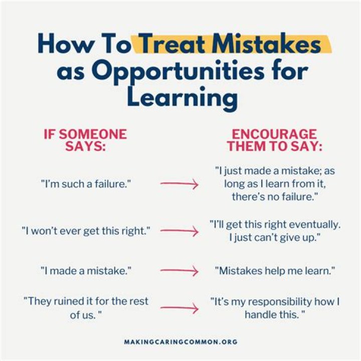 What is the saying about learning from your mistakes?
