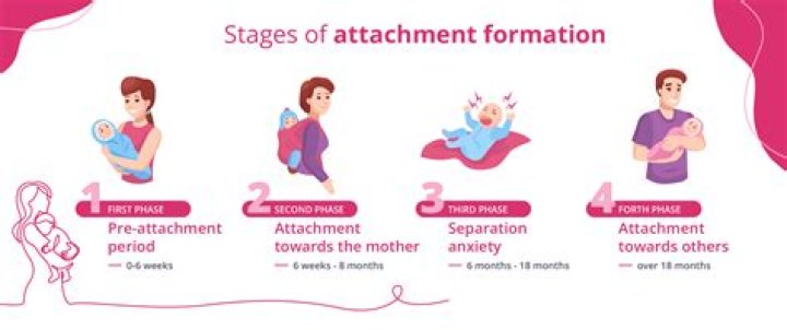 What is the second attachment phase?
