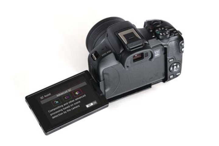 What is the sensor on Canon 550D?