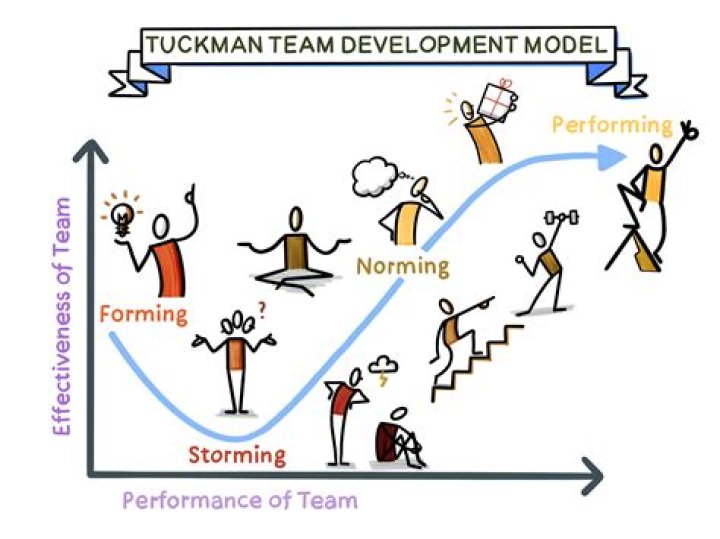 What is the Tuckman and Jensen model?