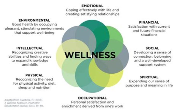 What is the wellness Dance?