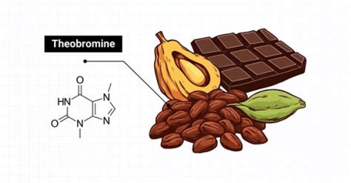 What is theobromine used for?