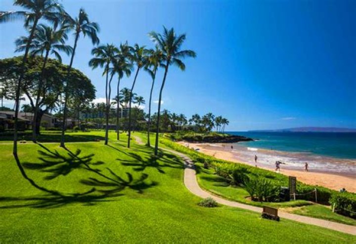 What is there to do in Maui when it rains?