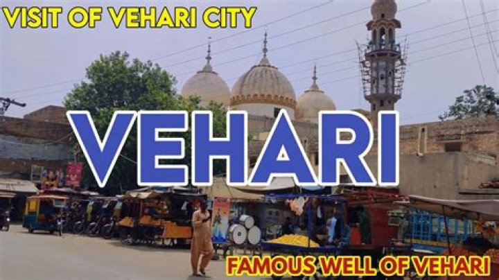 What is Vehari famous for?