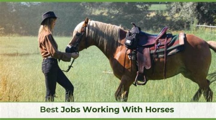 What jobs work with horses?