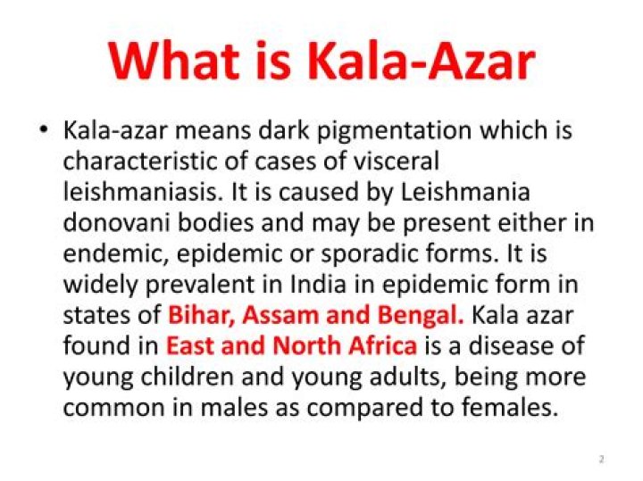 What Kala means?