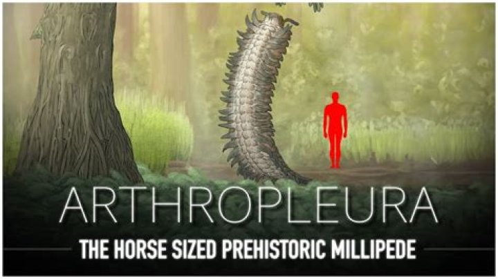 What killed Arthropleura?