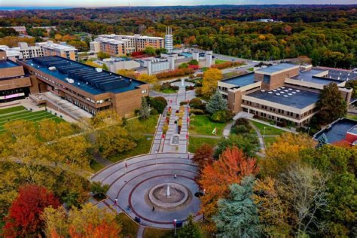What majors is Stony Brook known for?